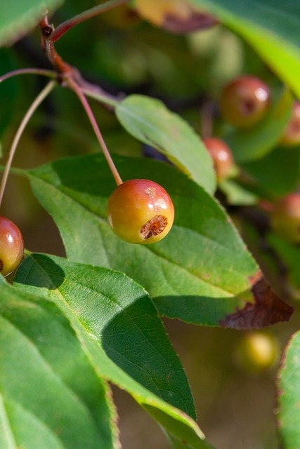 字母哥缺阵进攻受阻！波蒂斯扛起进攻大旗，雄鹿仅得101分
