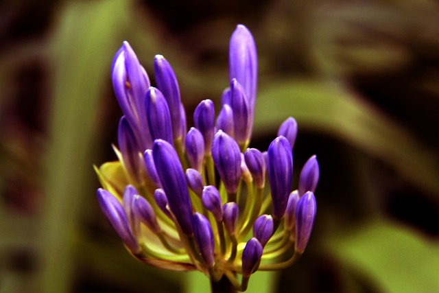 一场2-0让西甲争冠格局大乱，大黑马豪取6连胜，只落后皇马1分